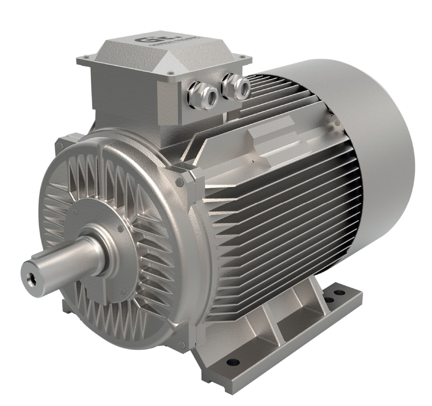 Low_medium_high voltage electric motors