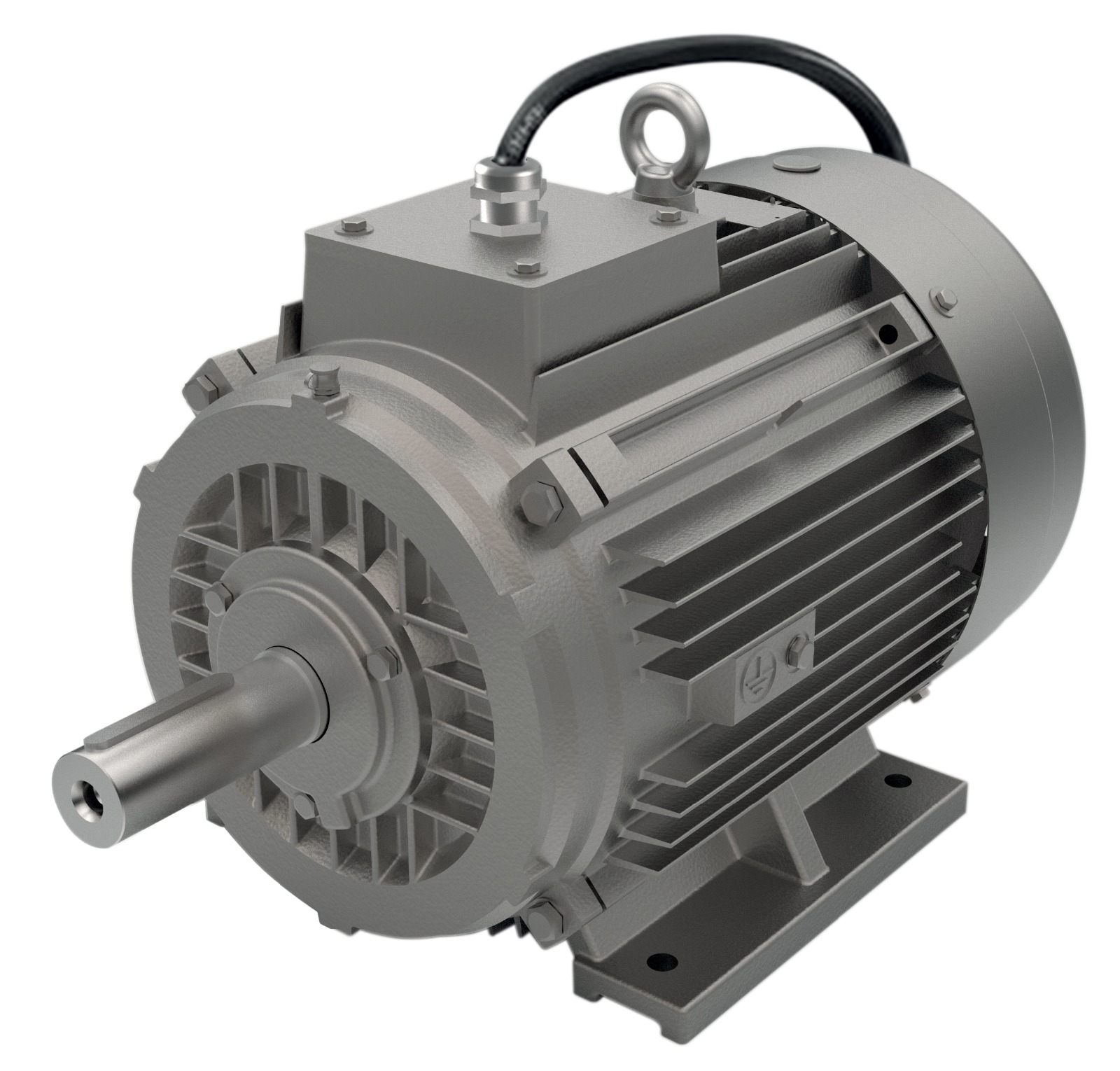 Low_medium_high voltage electric motors